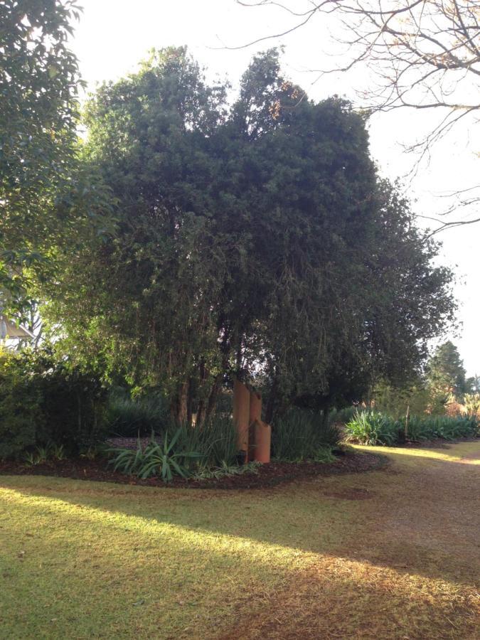 Deo Resta Guest Lodge Piet Retief Kültér fotó
